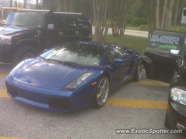 Lamborghini Gallardo spotted in Orlando, Florida