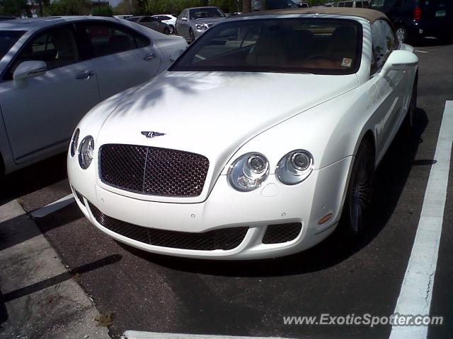 Bentley Continental spotted in Tampa, Florida