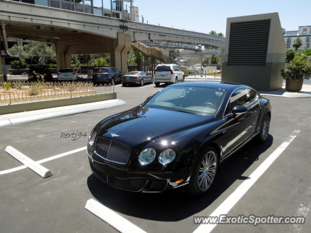 Bentley Continental spotted in Las Vegas, Nevada