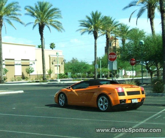 Lamborghini Gallardo spotted in Tucson, Arizona