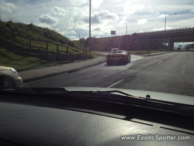 Lamborghini Gallardo spotted in Melbourne, Australia