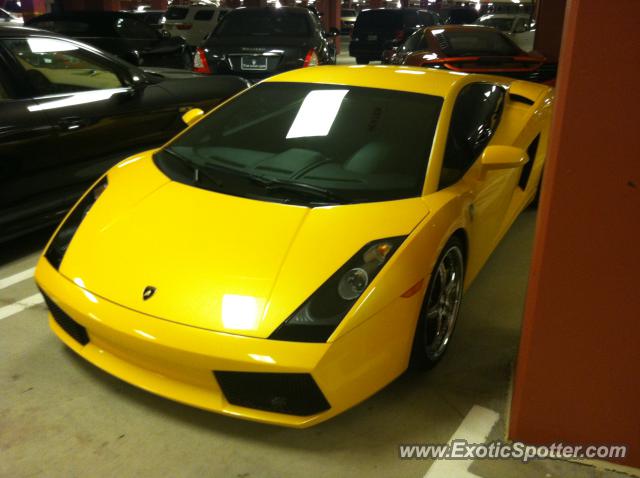 Lamborghini Gallardo spotted in Mt pocono, Pennsylvania