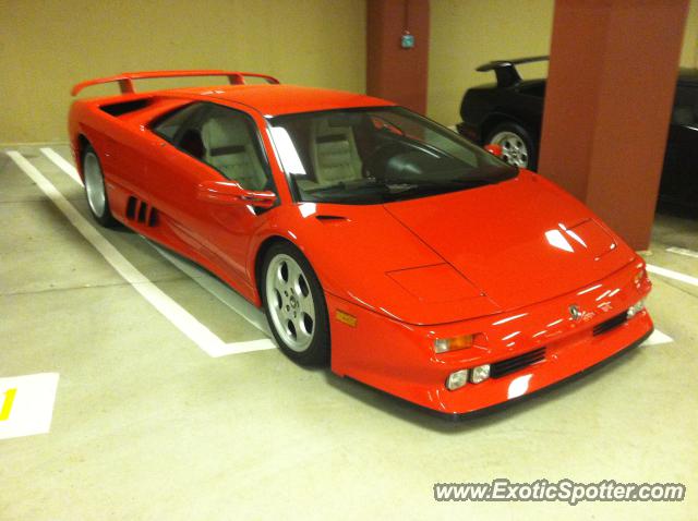 Lamborghini Diablo spotted in Mt pocono, Pennsylvania