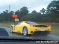 Ferrari Enzo