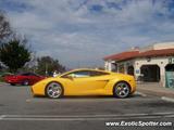 Lamborghini Gallardo