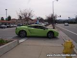 Lamborghini Gallardo