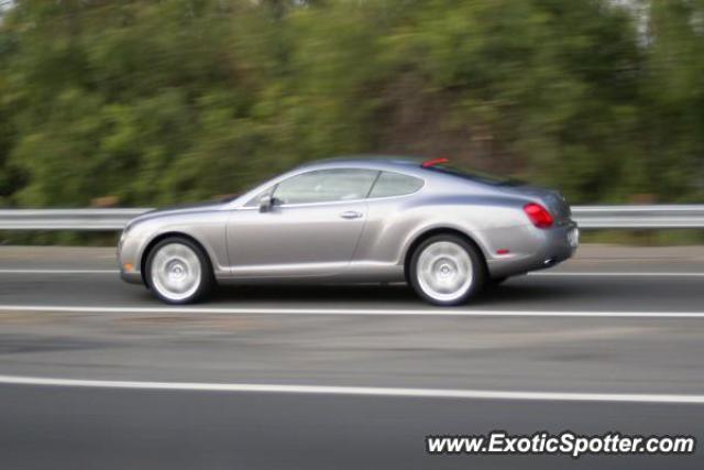 Bentley Continental spotted in Woodland Hills, California