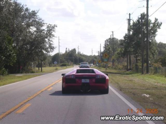 Lamborghini Murcielago spotted in Tampa, Florida