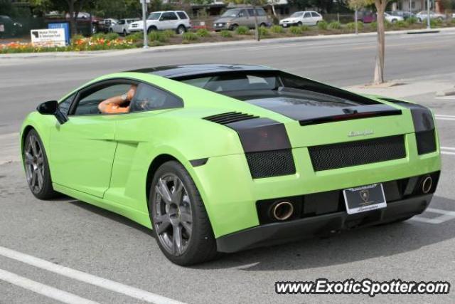 Lamborghini Gallardo spotted in Calabasas, California