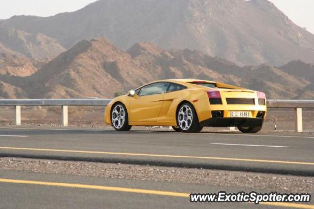 Lamborghini Gallardo spotted in Al Ain, United Arab Emirates