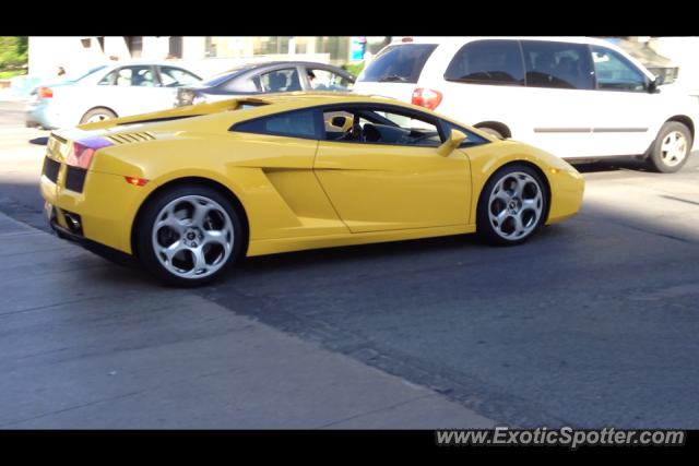 Lamborghini Gallardo spotted in Toronto, Canada