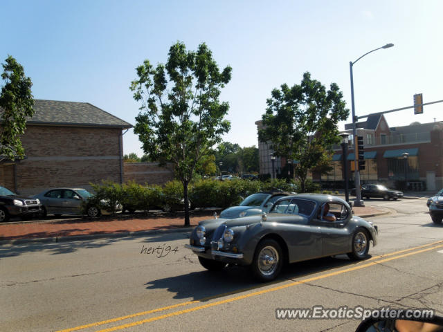 Other Vintage spotted in Deerfield, Illinois