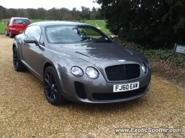 Bentley Continental spotted in Stapleford park, United Kingdom