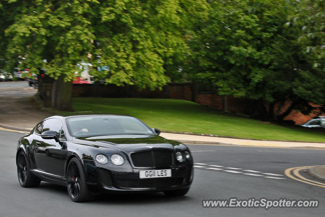 Bentley Continental spotted in Harrogate, United Kingdom