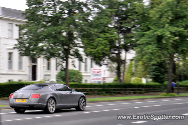 Bentley Continental spotted in Cheltenham, United Kingdom