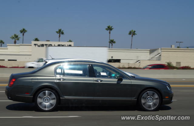 Bentley Continental spotted in Orange, California