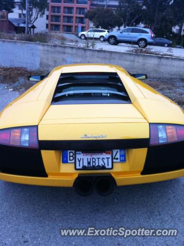 Lamborghini Murcielago spotted in Monterey, California