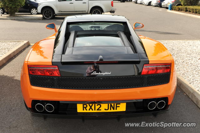 Lamborghini Gallardo spotted in Weybridge, United Kingdom