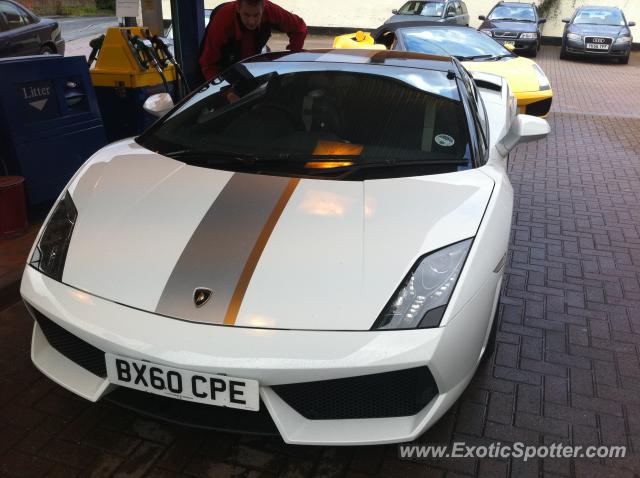 Lamborghini Gallardo spotted in Louborghur, United Kingdom