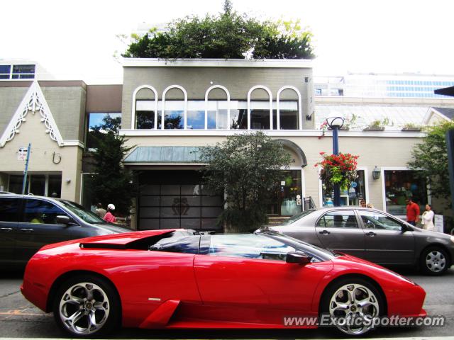 Lamborghini Murcielago spotted in Toronto, Canada