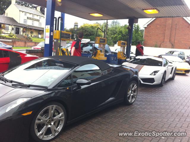 Lamborghini Gallardo spotted in Loughborgh, United Kingdom