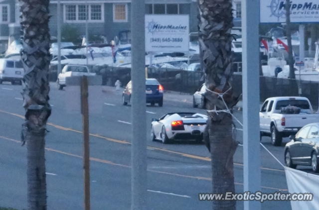 Lamborghini Murcielago spotted in Newport Beach, California