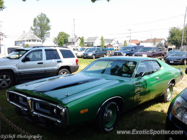 Other Vintage spotted in Sodus Point, New York