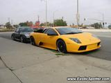 Lamborghini Murcielago