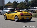 Lamborghini Gallardo