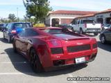 Lamborghini Gallardo