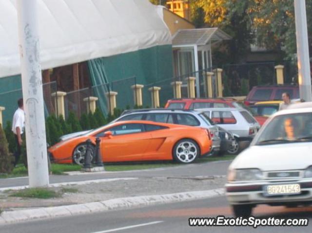 Lamborghini Gallardo spotted in Belgrade, Serbia