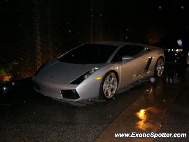 Lamborghini Gallardo spotted in Hollywood, California