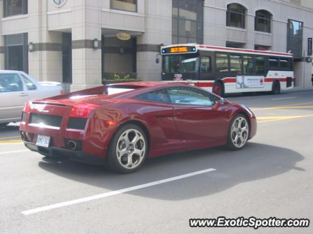 Lamborghini Gallardo spotted in Toronto, Canada