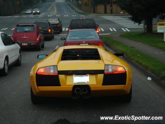 Lamborghini Murcielago spotted in Federal Way, Washington