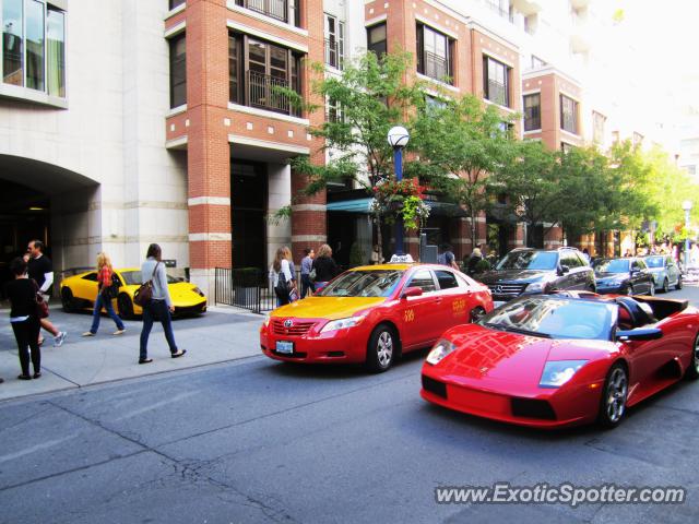 Lamborghini Murcielago spotted in Toronto, Canada