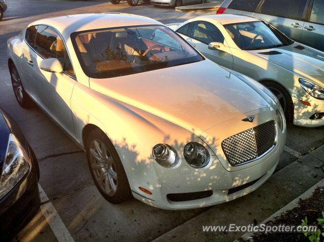 Bentley Continental spotted in Atlanta, Georgia