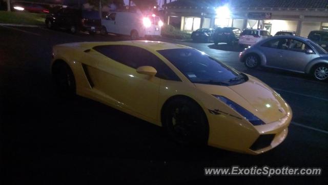 Lamborghini Gallardo spotted in Riverside, California