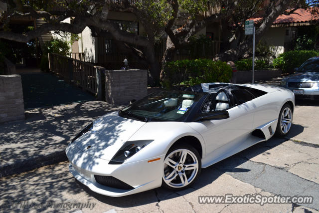 Lamborghini Murcielago spotted in Monterey, California