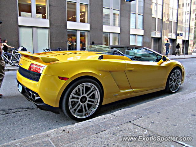 Lamborghini Gallardo spotted in Toronto, Canada