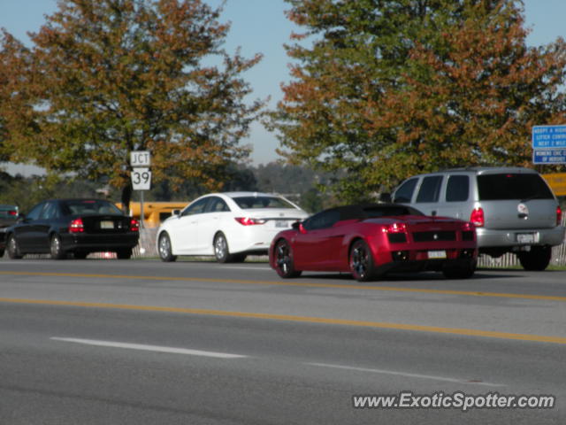 Lamborghini Gallardo spotted in Hershey, Pennsylvania