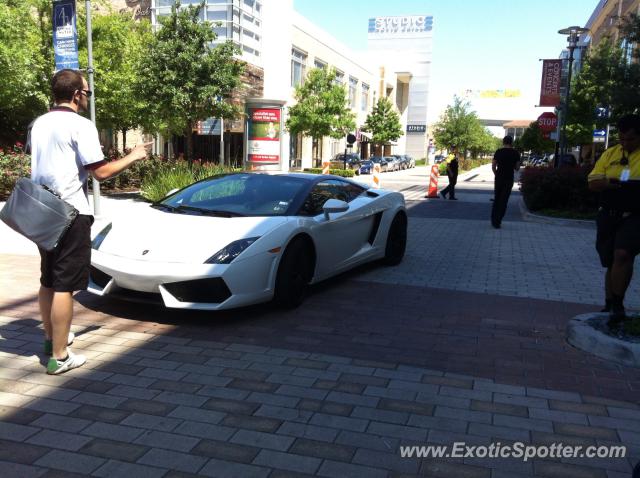 Lamborghini Gallardo spotted in Houma, Louisiana