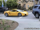 Lamborghini Gallardo