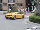 Lamborghini Gallardo