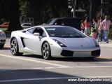 Lamborghini Gallardo