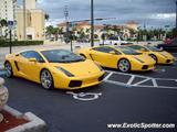 Lamborghini Gallardo