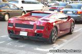 Lamborghini Gallardo