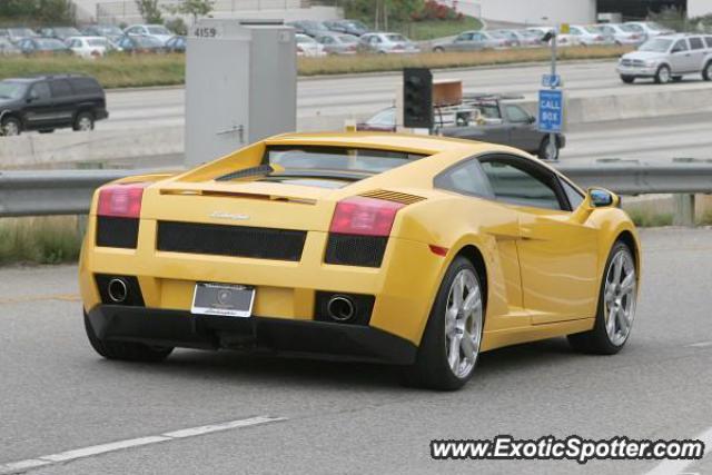 Lamborghini Gallardo spotted in Calabasas, California