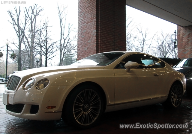 Bentley Continental spotted in Boston, Massachusetts