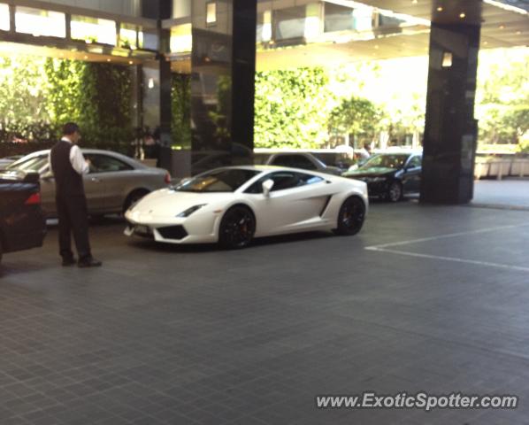 Lamborghini Gallardo spotted in Melbourne, Australia