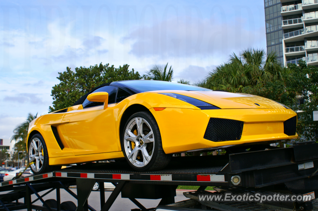 Lamborghini Gallardo spotted in Miami, Florida